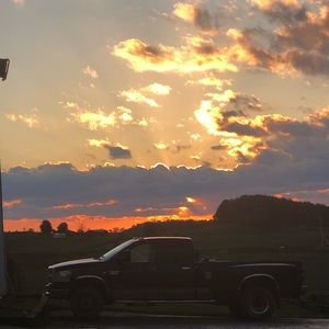 Meet your Posher, Priscilla